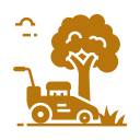 Garden Cleaning & Maintenance 
