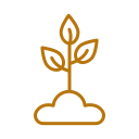 Plant Nursery